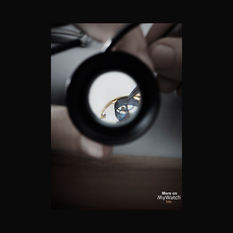 Duomètre sphérotourbillon moon 2025
