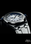 Royal Oak Offshore Divers