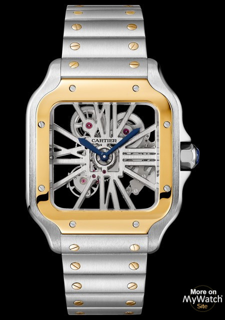 Santos de Cartier Squelette