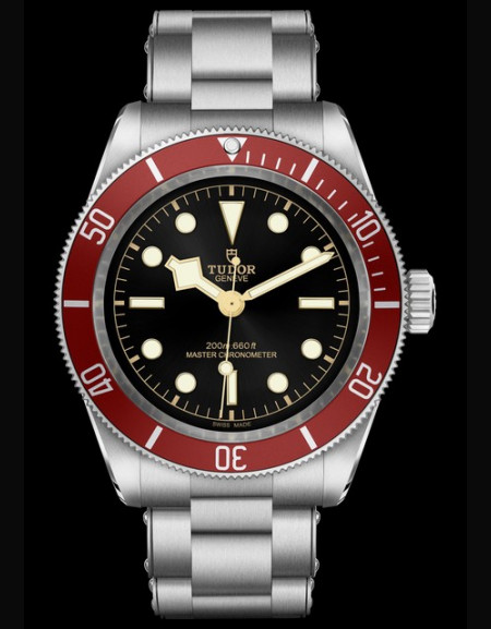 Tudor Black Bay