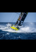 Newport Carbone Titane Squelette