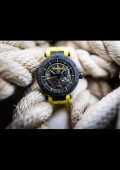 Newport Carbone Titane Squelette