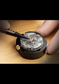 Classique Double Tourbillon « Quai de l’Horloge » 5345