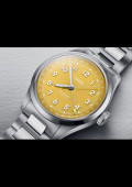 Big Crown Pointer Date