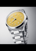 Big Crown Pointer Date