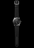 Monsieur Platine Tourbillon Lion