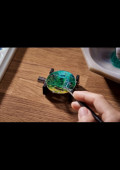 Louis Vuitton Escale en Amazonie Montre de Poche