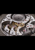 Louis Vuitton Escale en Amazonie Montre de Poche