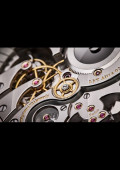 Louis Vuitton Escale en Amazonie Montre de Poche