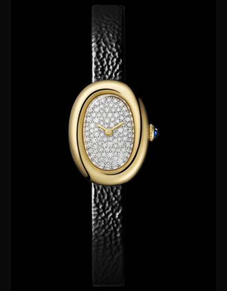 Montre Baignoire