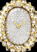 Montre Baignoire