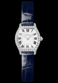 Montre Tortue