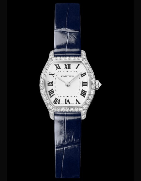 Montre Tortue