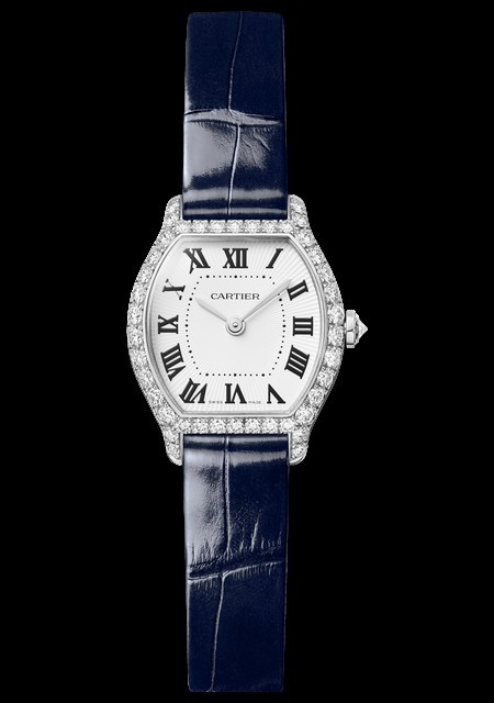 Montre Tortue