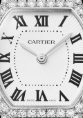 Montre Tortue