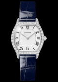 Montre Tortue