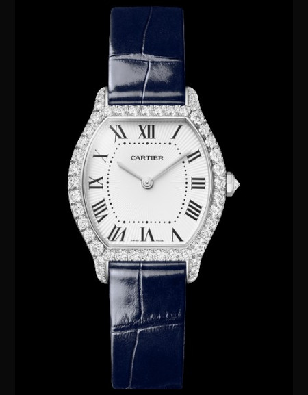 Montre Tortue