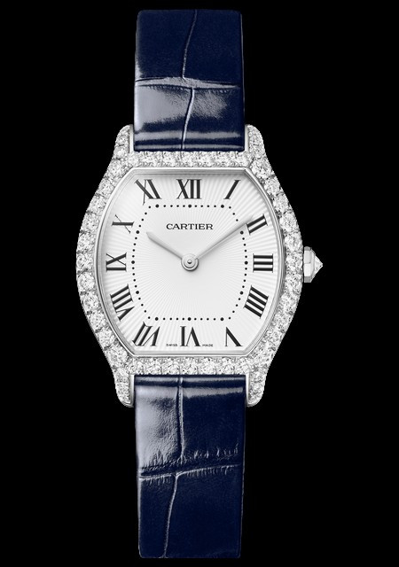 Montre Tortue
