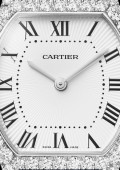 Montre Tortue