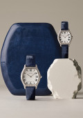 Montre Tortue