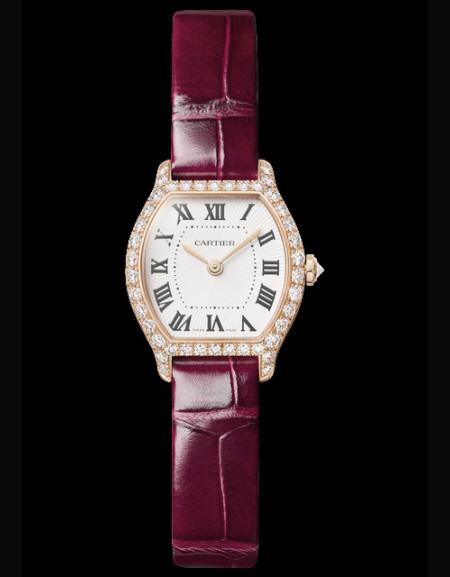 Montre Tortue