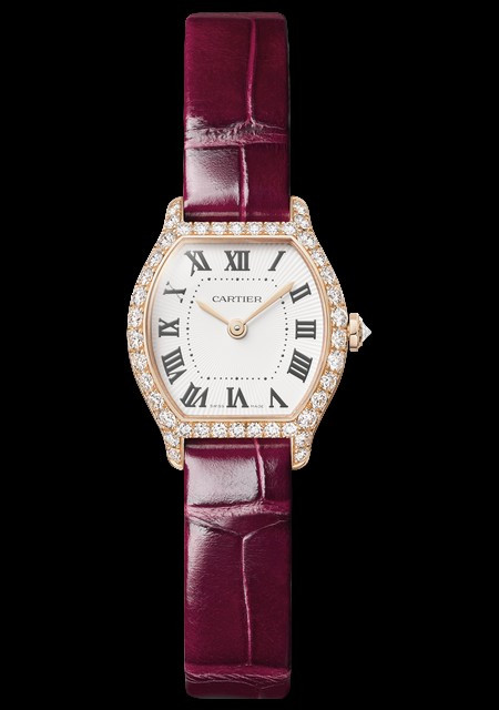 Montre Tortue