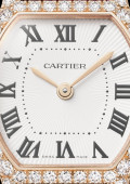 Montre Tortue