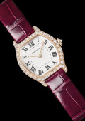 Montre Tortue