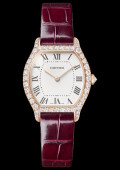 Montre Tortue