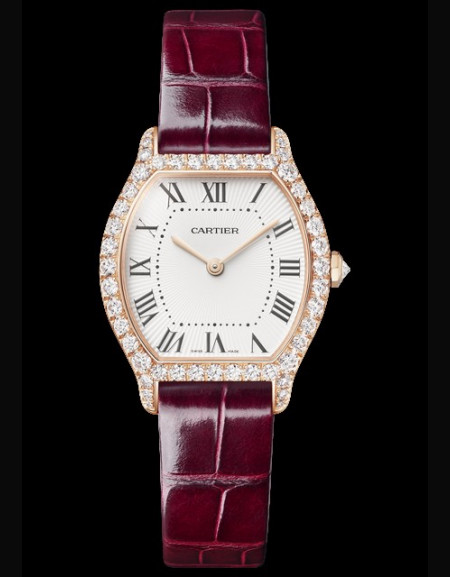 Montre Tortue