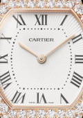 Montre Tortue