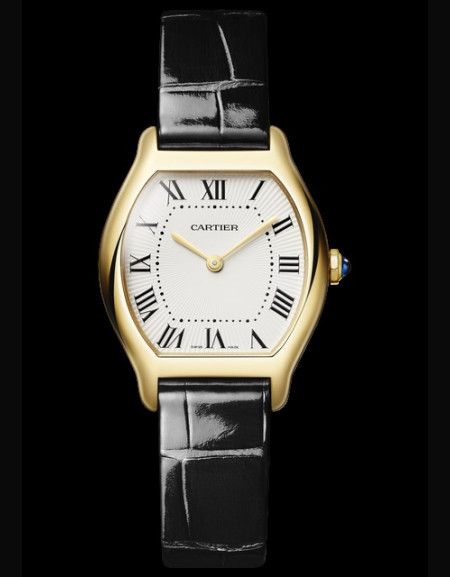 Montre Tortue