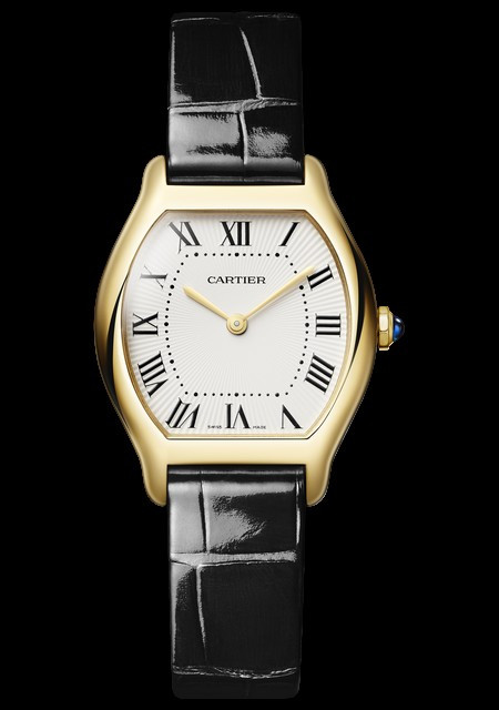 Montre Tortue