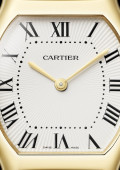 Montre Tortue