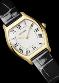 Montre Tortue
