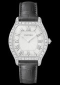 Montre Tortue