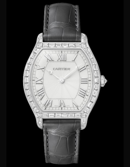 Montre Tortue
