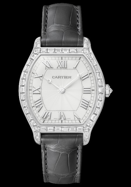 Montre Tortue