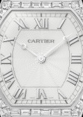 Montre Tortue