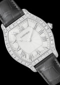 Montre Tortue