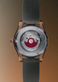 ProPilot Bronze