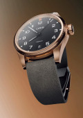 ProPilot Bronze