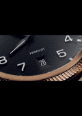 ProPilot Bronze