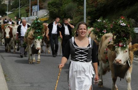 La traditionnelle Désalpe des vaches de Jean-Claude Biver