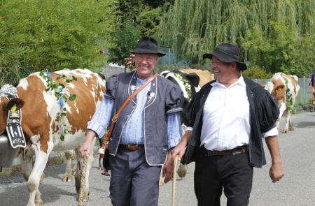 La traditionnelle Désalpe des vaches de Jean-Claude Biver