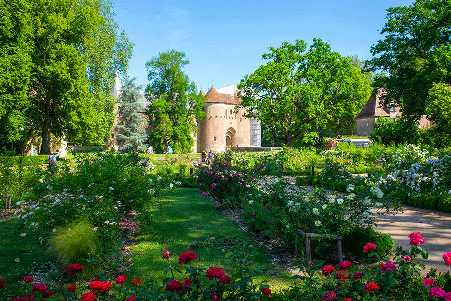 Vue du Château depuis la roseraie