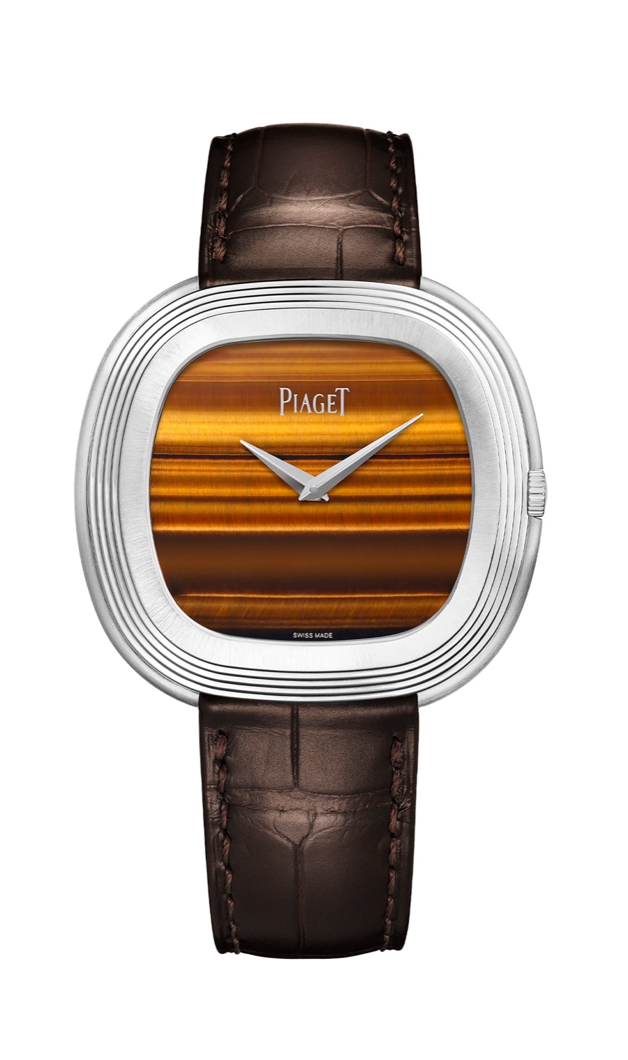 Piaget Andy Warhol