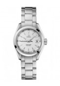 Seamaster Aqua Terra Quartz