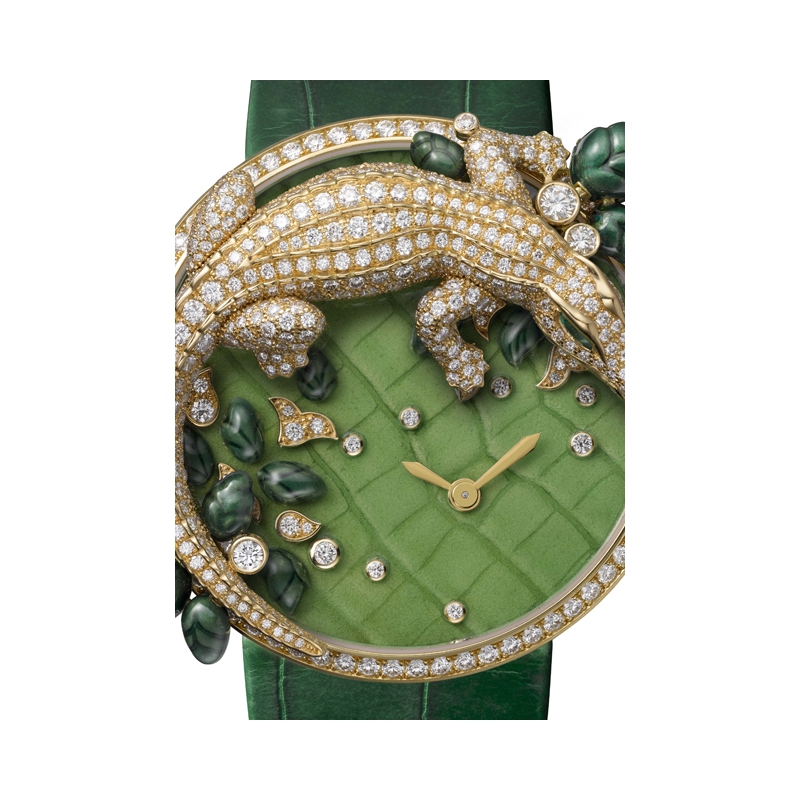 crocodile cartier