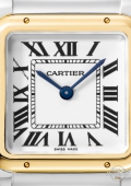 Panthère de Cartier